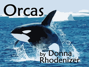 Orcas - by Donna Rhodenizer