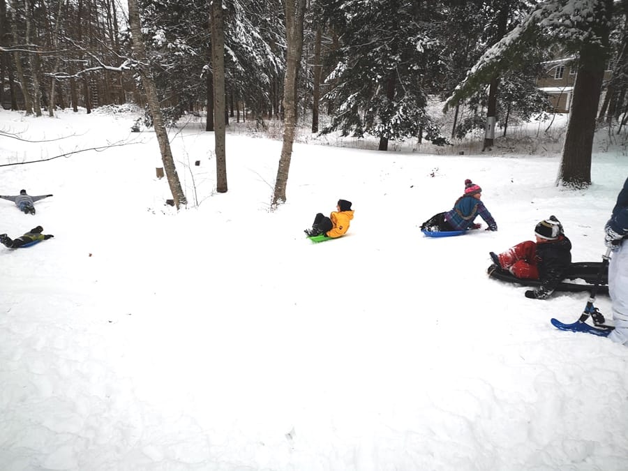 Tobogganing down the hill